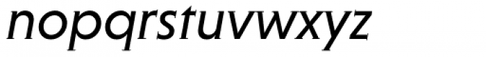 Niveau Serif Italic Font LOWERCASE