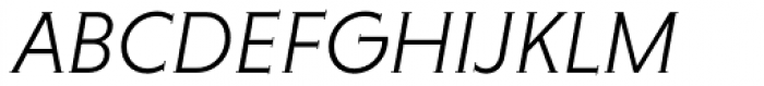Niveau Serif Light Italic Font UPPERCASE