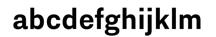 Nitti Grotesk Bold Font LOWERCASE