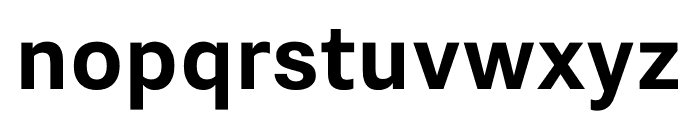 Nitti Grotesk Bold Font LOWERCASE