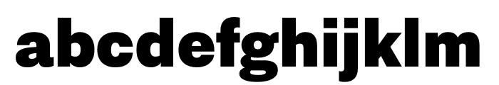 Nitti Grotesk ExtraBlack Font LOWERCASE