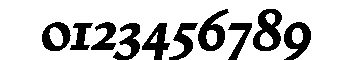 Nicola Display Bold Italic Font OTHER CHARS