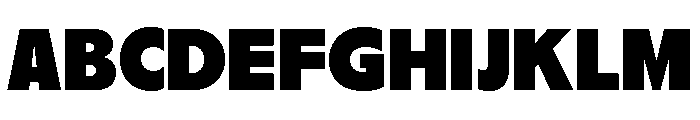 Nikkei Journal Regular 10 Font UPPERCASE