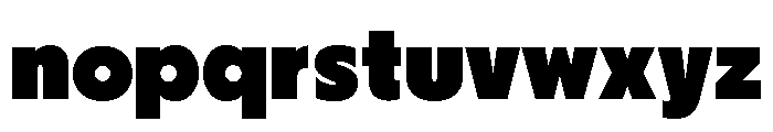 Nikkei Journal Regular 10 Font LOWERCASE