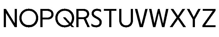 Nikkei Journal Regular 4 Font UPPERCASE