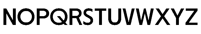Nikkei Journal Regular 5 Font UPPERCASE