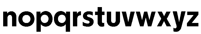 Nikkei Journal Regular 6 Font LOWERCASE