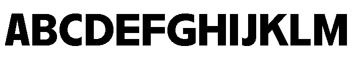 Nikkei Journal Regular 7 Font UPPERCASE