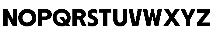 Nikkei Journal Regular 7 Font UPPERCASE