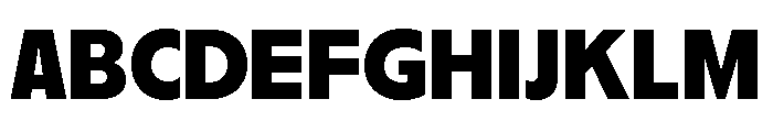 Nikkei Journal Regular 8 Font UPPERCASE