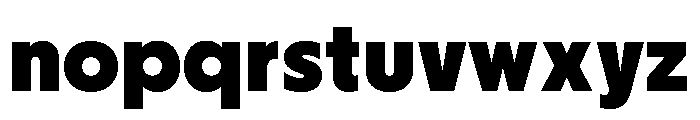 Nikkei Journal Regular 8 Font LOWERCASE