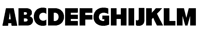 Nikkei Journal Regular 9 Font UPPERCASE