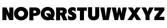 Nikkei Journal Regular 9 Font UPPERCASE