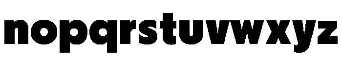 Nikkei Journal Regular 9 Font LOWERCASE