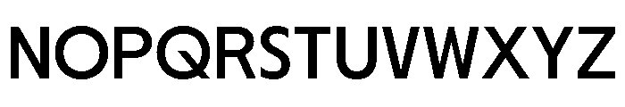 Nikkei Journal Regular Font UPPERCASE