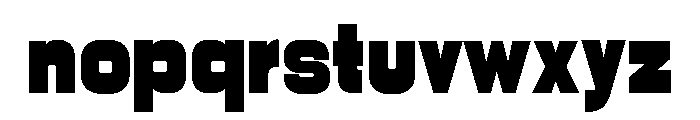Nikkei Line Regular 10 Font LOWERCASE