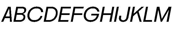 Nikkei Maru Regular 13 Font UPPERCASE