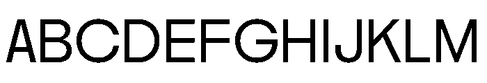 Nikkei Maru Regular 22 Font UPPERCASE