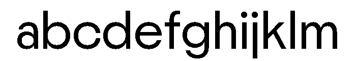 Nikkei Maru Regular 22 FONT