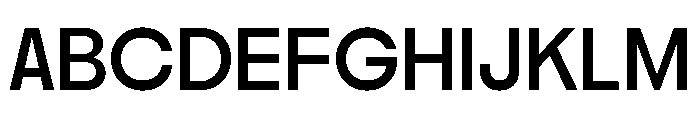 Nikkei Maru Regular 23 Font UPPERCASE