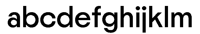 Nikkei Maru Regular 23 FONT