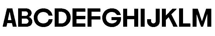 Nikkei Maru Regular 24 Font UPPERCASE