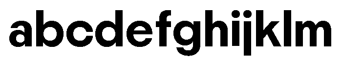 Nikkei Maru Regular 24 FONT