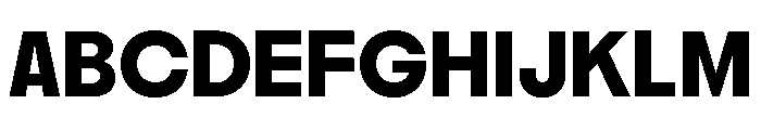 Nikkei Maru Regular 25 Font UPPERCASE