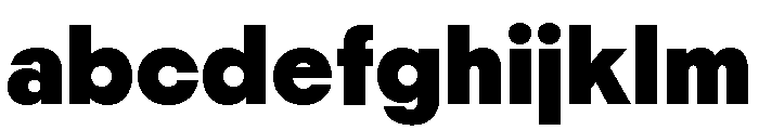 Nikkei Maru Regular 26 FONT