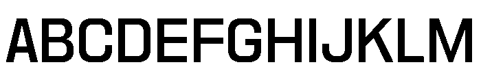 Nikkei Pacific Regular 5 Font UPPERCASE