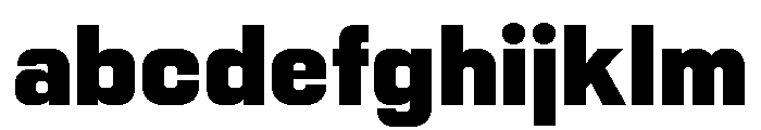Nikkei Pacific Regular 8 FONT