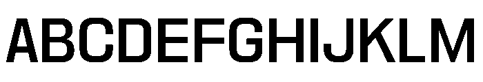 Nikkei Pacific Regular Font UPPERCASE