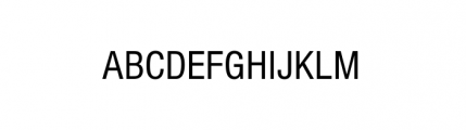 Nimbus Sans Complete D Condensed Bold Font UPPERCASE