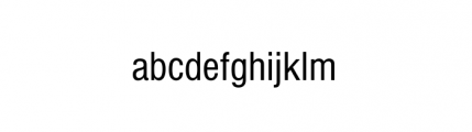 Nimbus Sans Complete D Condensed Bold Font LOWERCASE