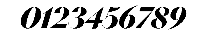 NN DidotModern STD BlackItalic Font OTHER CHARS