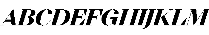 NN DidotModern STD BlackItalic Font UPPERCASE