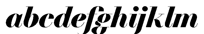 NN DidotModern STD BlackItalic FONT