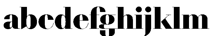 NN DidotModern STD Black FONT
