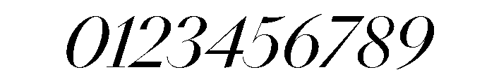 NN DidotModern STD Italic Font OTHER CHARS