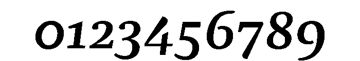 NN Rekja Bold Italic Webfont Font OTHER CHARS