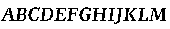 NN Rekja Bold Italic Webfont Font UPPERCASE