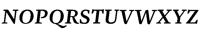 NN Rekja Bold Italic Webfont Font UPPERCASE