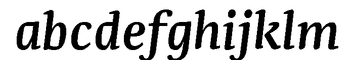 NN Rekja Bold Italic Webfont FONT