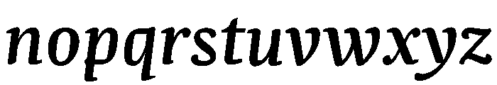 NN Rekja Bold Italic Webfont Font LOWERCASE