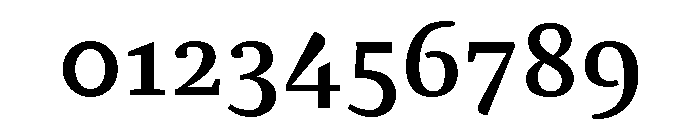 NN Rekja Bold Webfont Font OTHER CHARS
