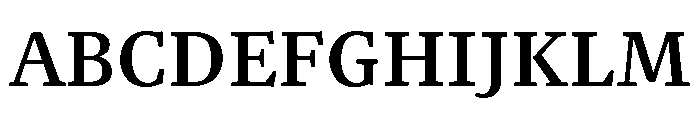 NN Rekja Bold Webfont Font UPPERCASE