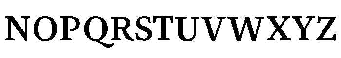 NN Rekja Bold Webfont Font UPPERCASE