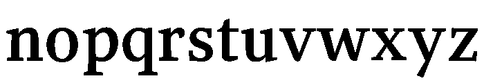 NN Rekja Bold Webfont Font LOWERCASE