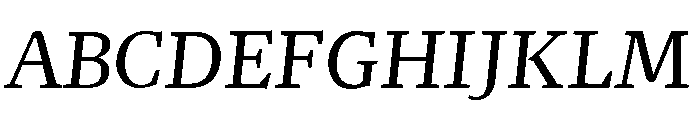 NN Rekja Italic Webfont Font UPPERCASE