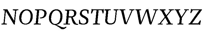 NN Rekja Italic Webfont Font UPPERCASE